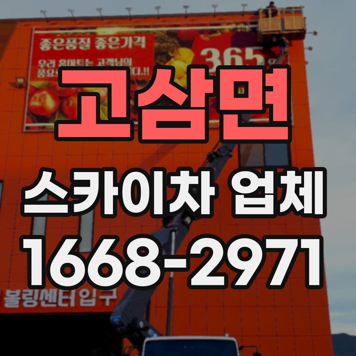 고삼면 스카이차 업체
