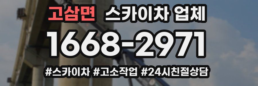 고삼면 스카이차 업체