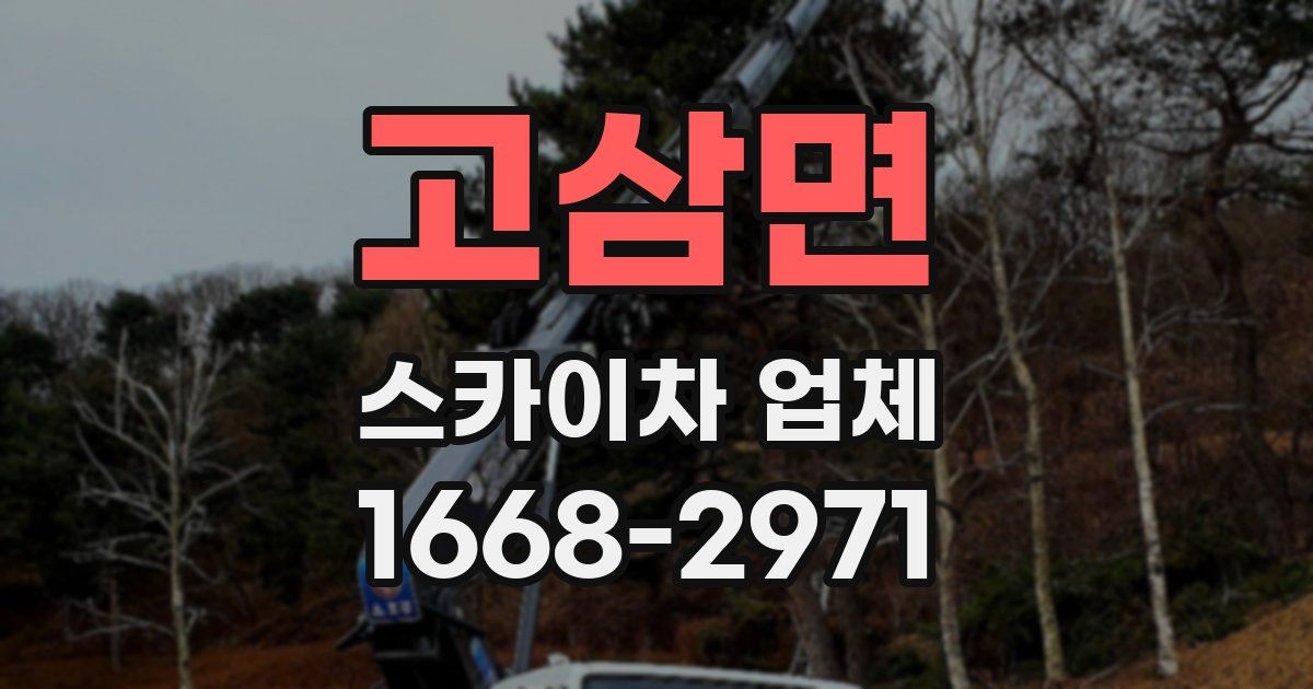 고삼면 스카이차 업체