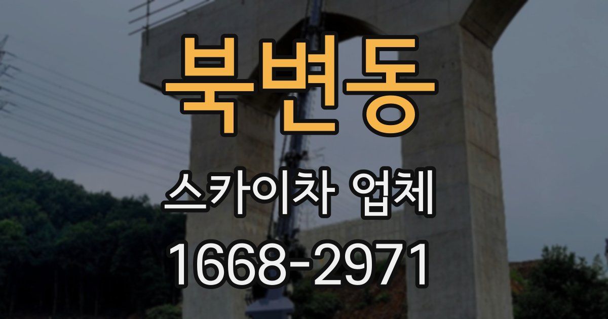 북변동 스카이차 업체