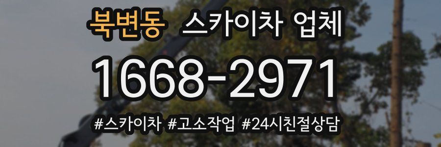 북변동 스카이차 업체