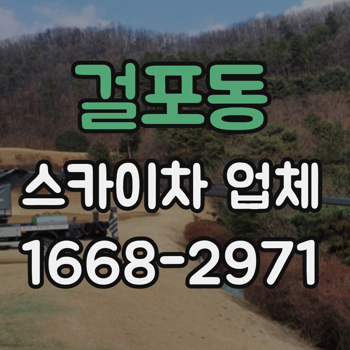 걸포동 스카이차 업체