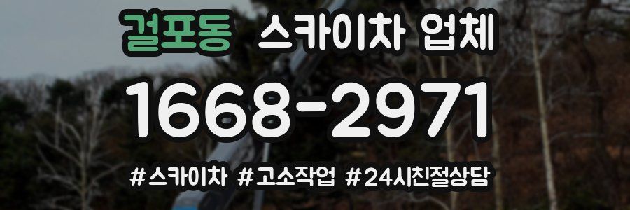 걸포동 스카이차 업체