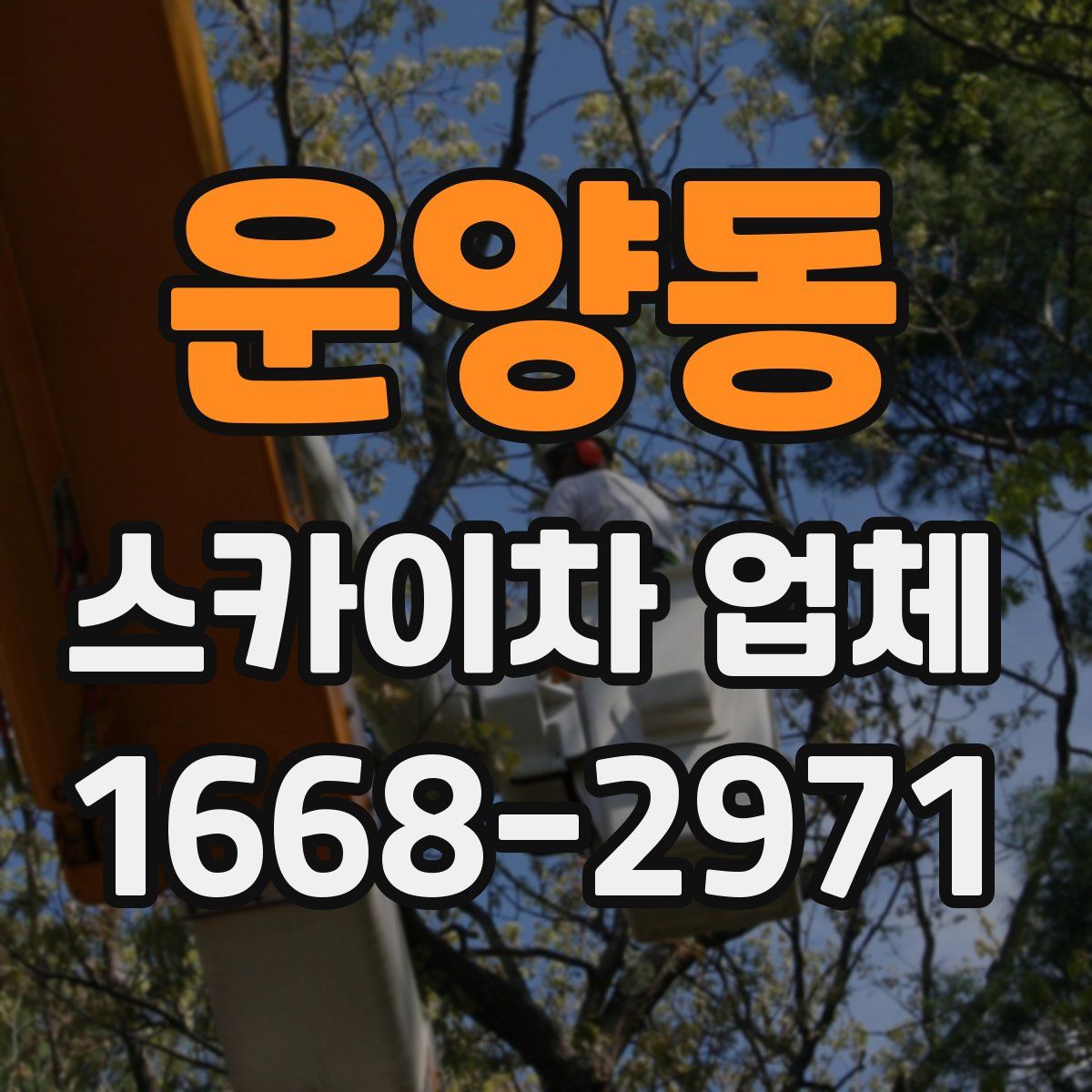 운양동 스카이차 업체