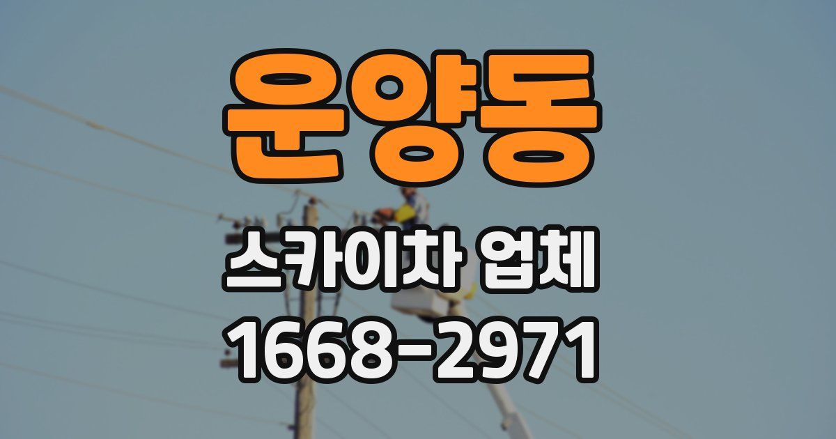 운양동 스카이차 업체