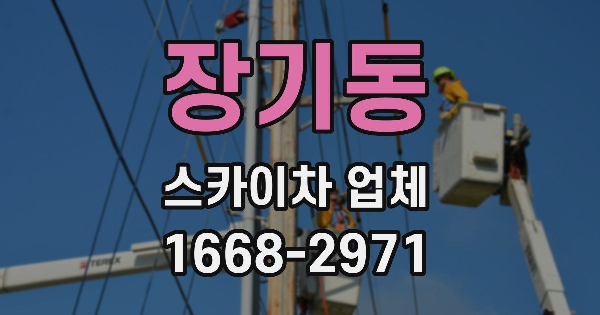 장기동 스카이차 업체