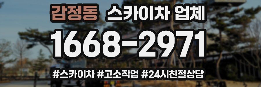감정동 스카이차 업체