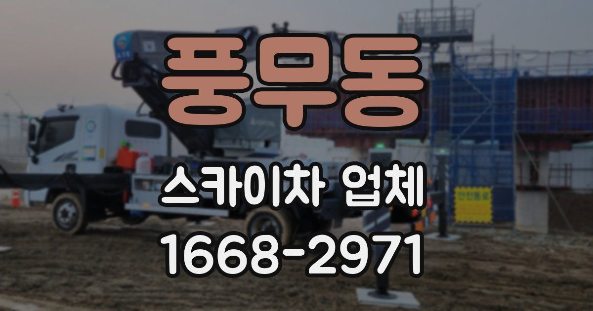 풍무동 스카이차 업체
