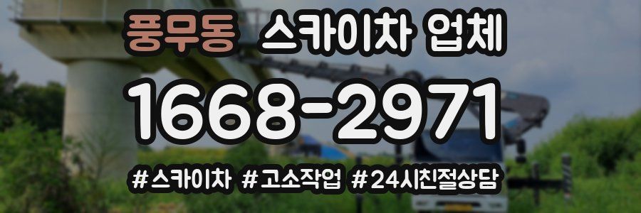 풍무동 스카이차 업체