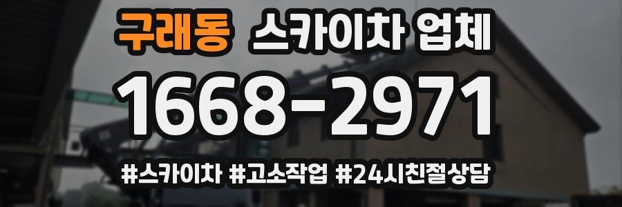 구래동 스카이차 업체