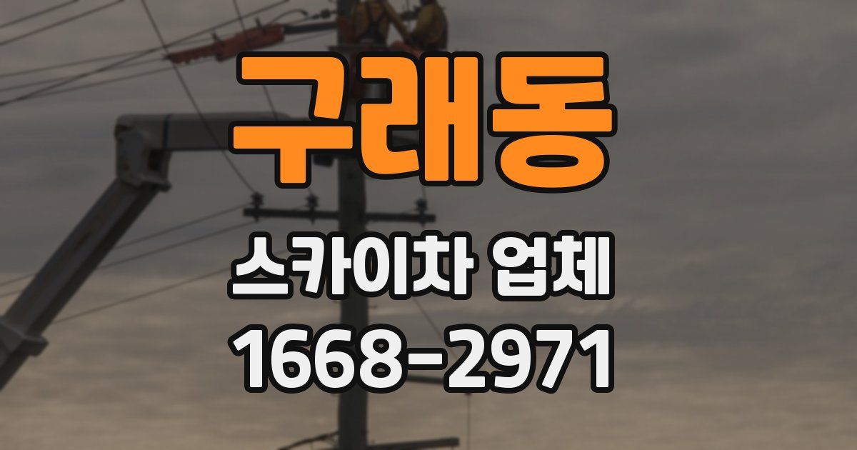 구래동 스카이차 업체