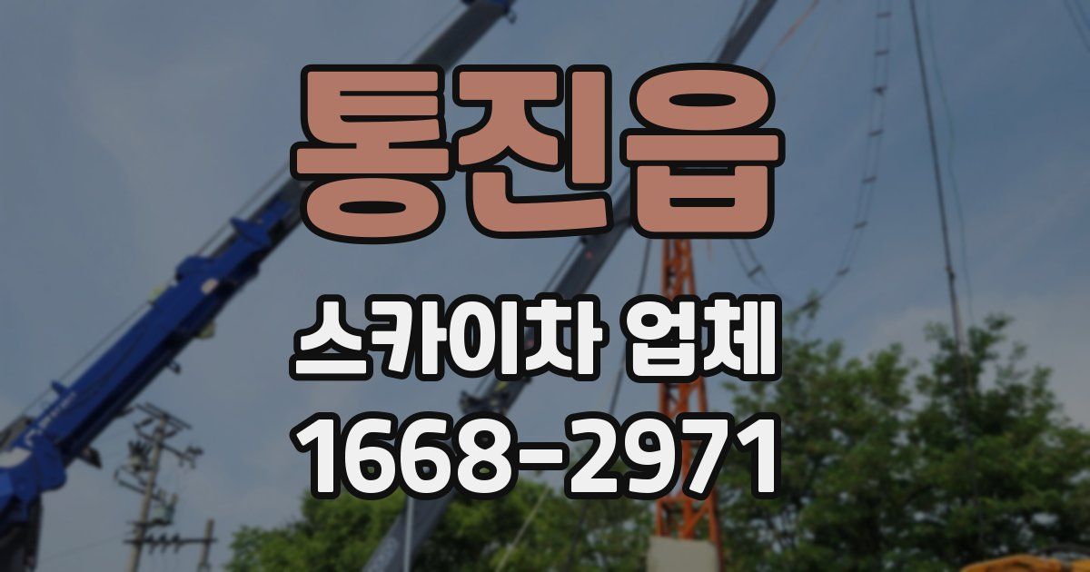 통진읍 스카이차 업체