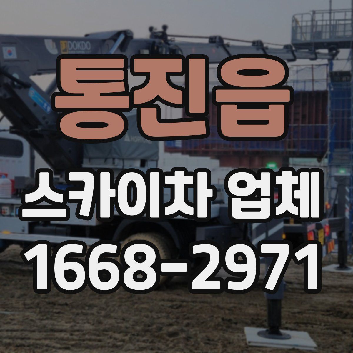통진읍 스카이차 업체