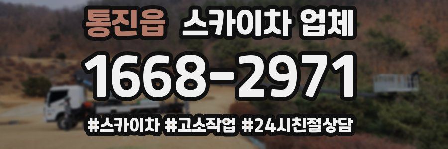 통진읍 스카이차 업체