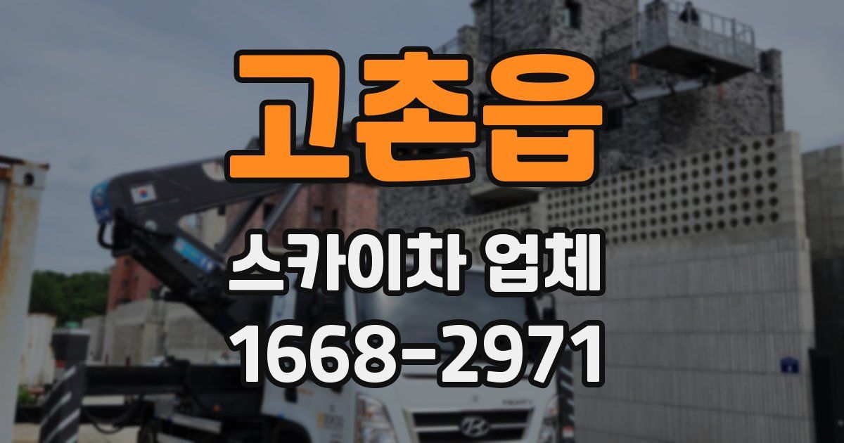 고촌읍 스카이차 업체