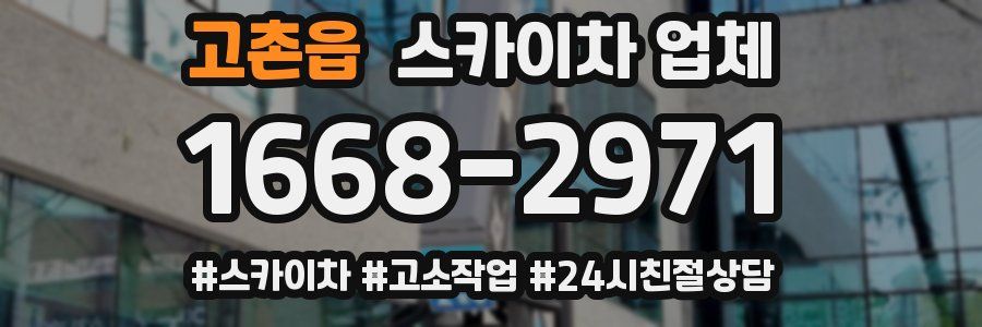 고촌읍 스카이차 업체