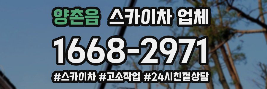 양촌읍 스카이차 업체