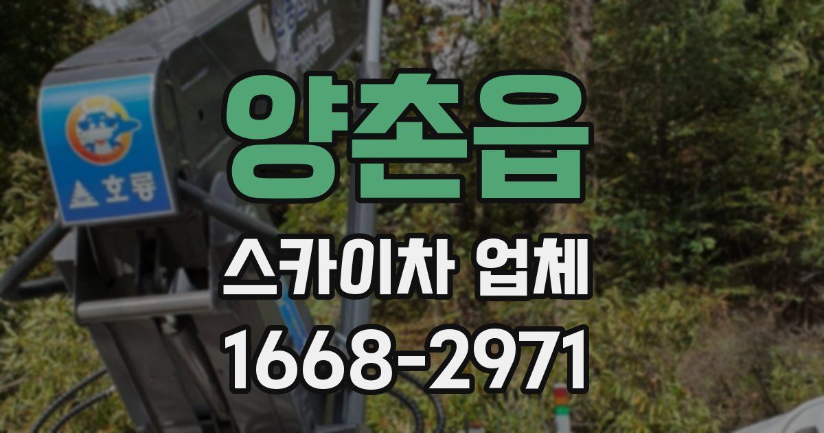 양촌읍 스카이차 업체