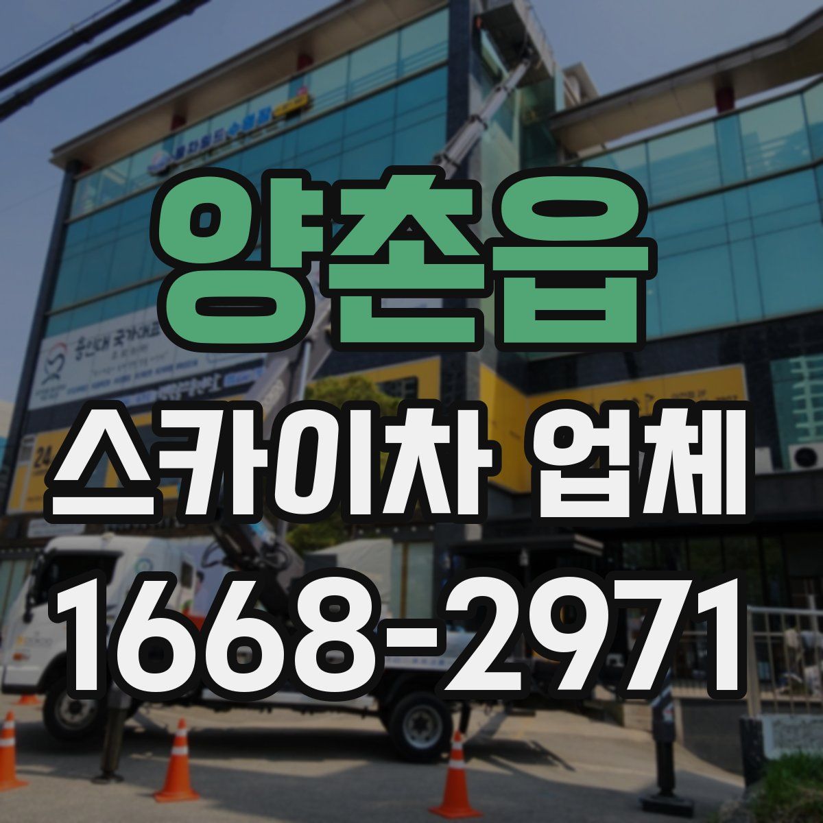 양촌읍 스카이차 업체