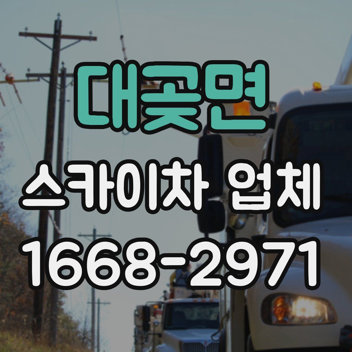 대곶면 스카이차 업체