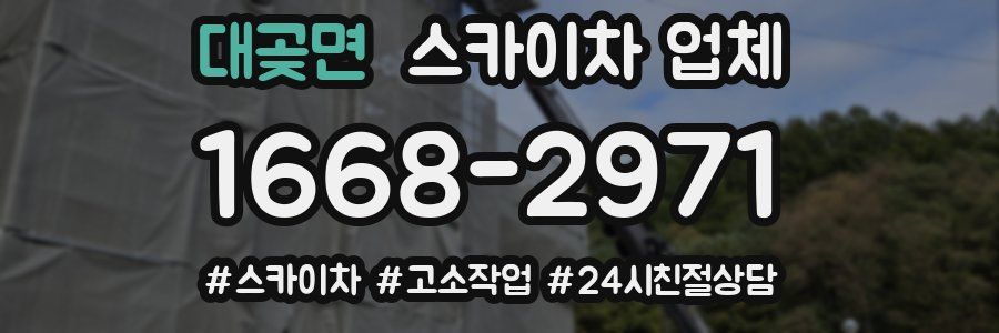 대곶면 스카이차 업체