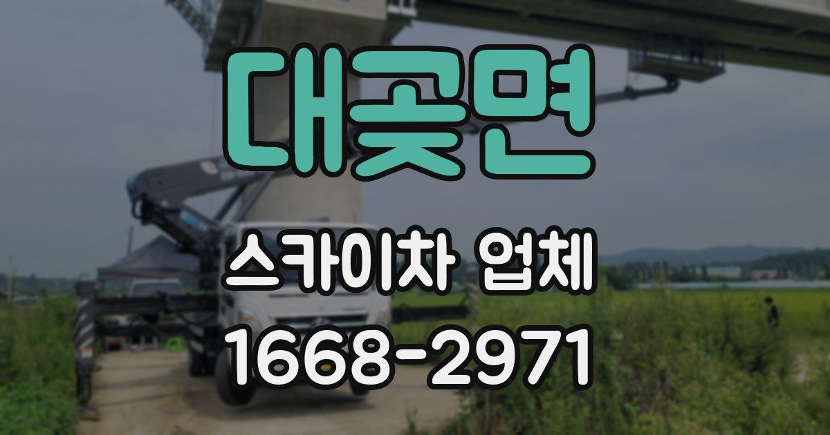 대곶면 스카이차 업체
