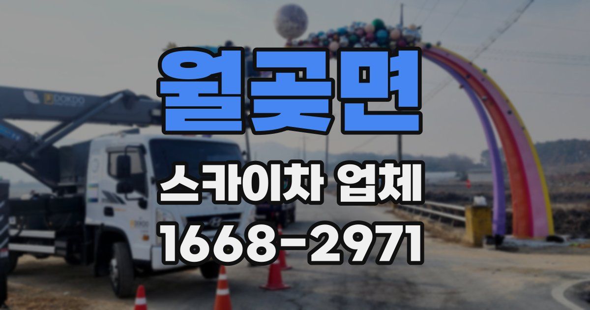 월곶면 스카이차 업체