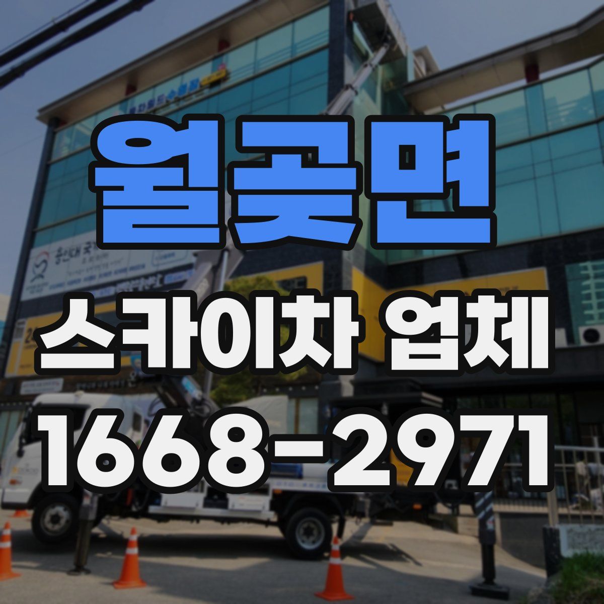 월곶면 스카이차 업체