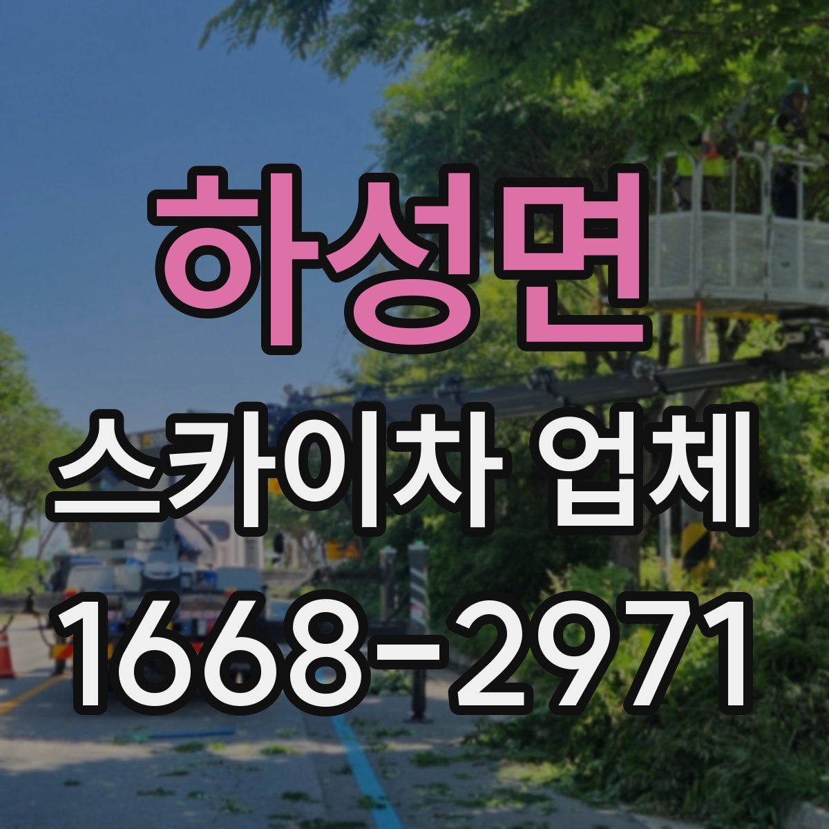 하성면 스카이차 업체