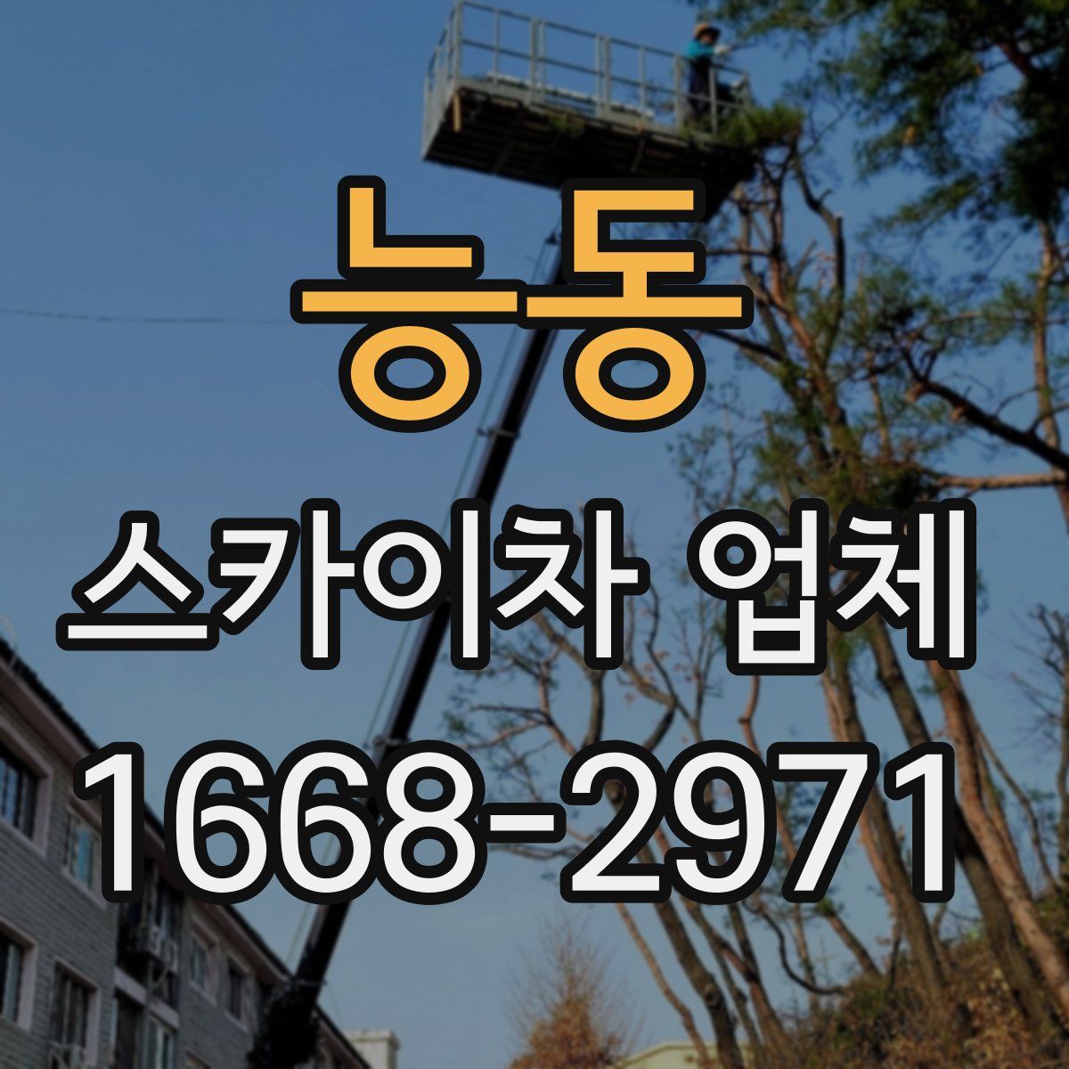 능동 스카이차 업체