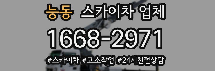 능동 스카이차 업체