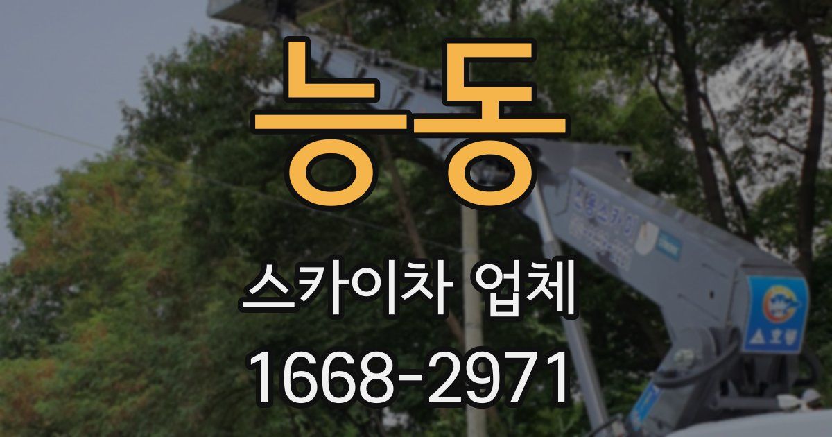능동 스카이차 업체