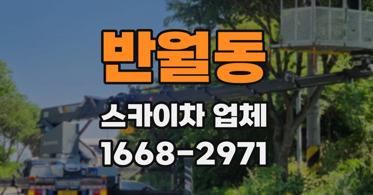 반월동 스카이차 업체