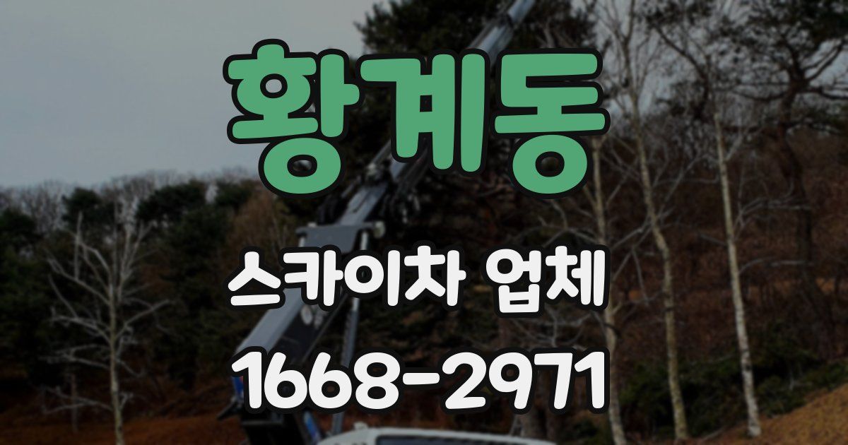 황계동 스카이차 업체