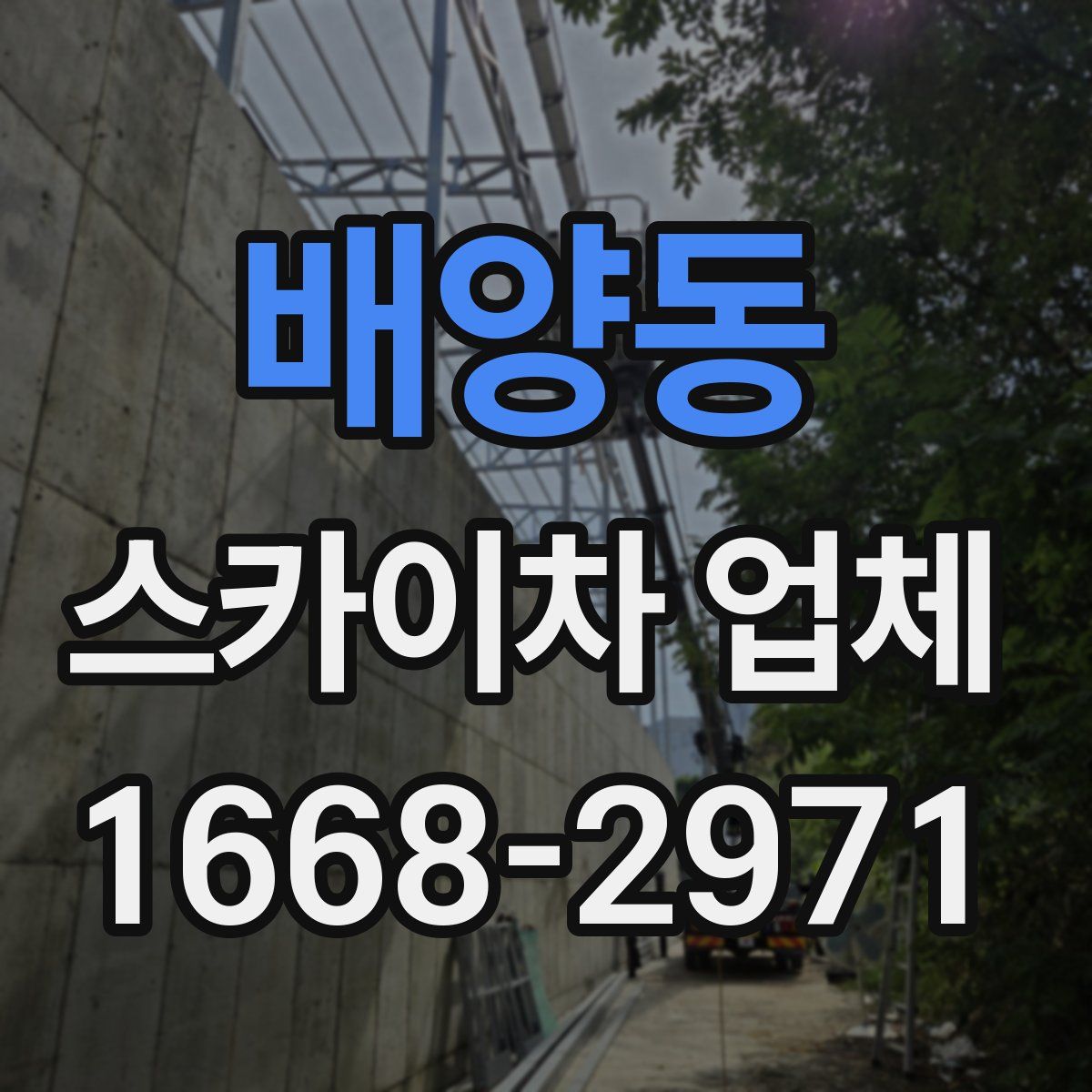 배양동 스카이차 업체