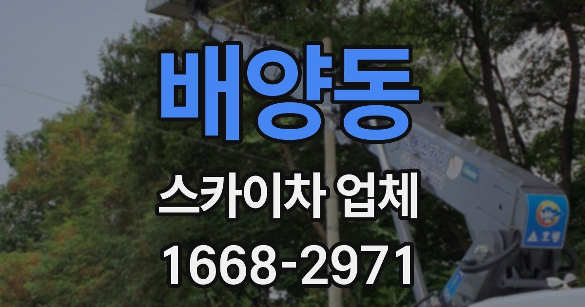 배양동 스카이차 업체