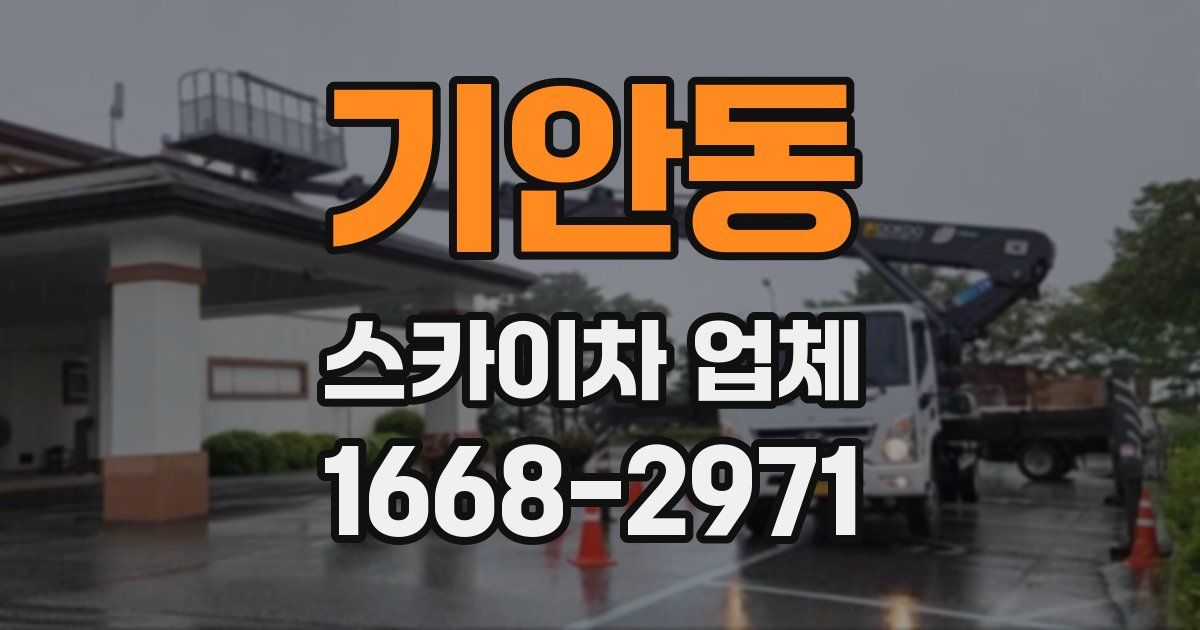 기안동 스카이차 업체