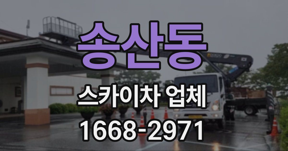 송산동 스카이차 업체