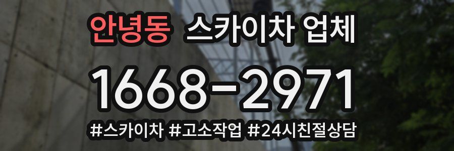 안녕동 스카이차 업체
