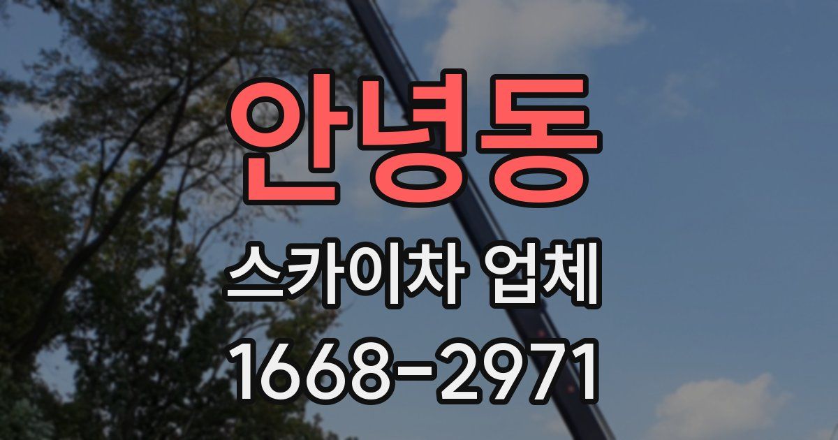 안녕동 스카이차 업체