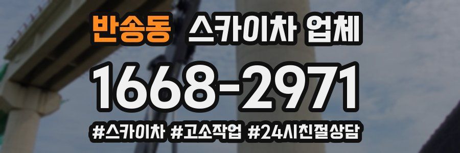 반송동 스카이차 업체