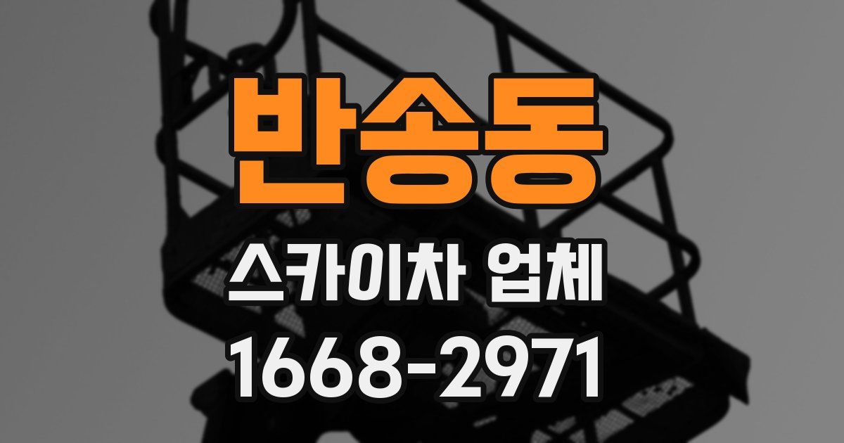 반송동 스카이차 업체