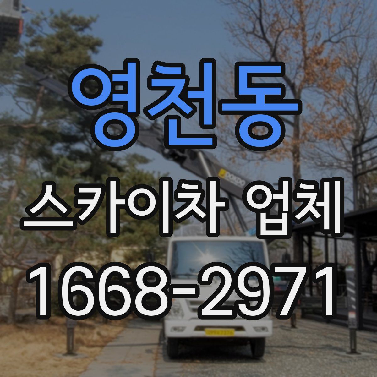 영천동 스카이차 업체