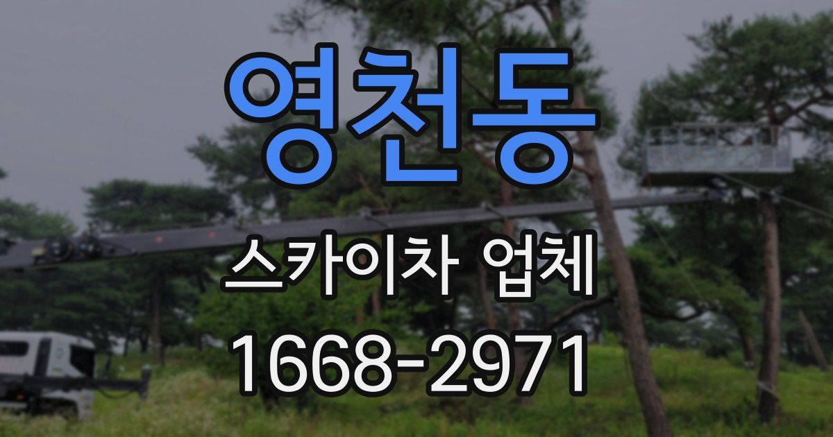 영천동 스카이차 업체
