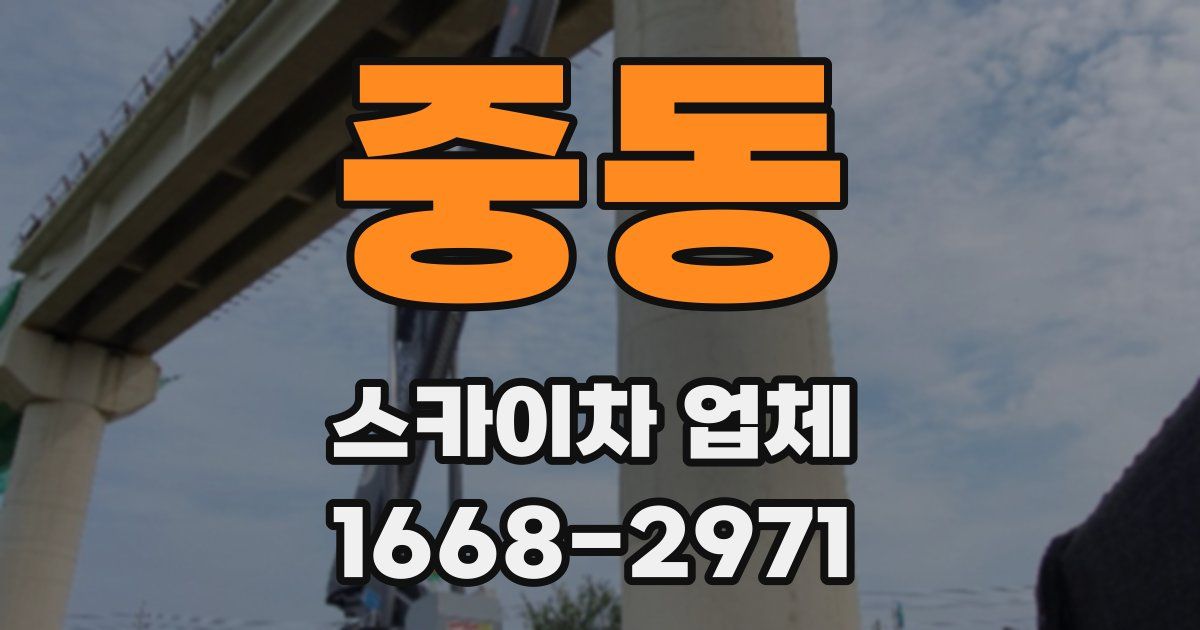 중동 스카이차 업체