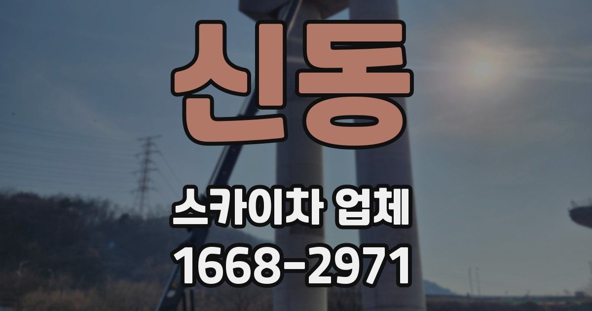 신동 스카이차 업체