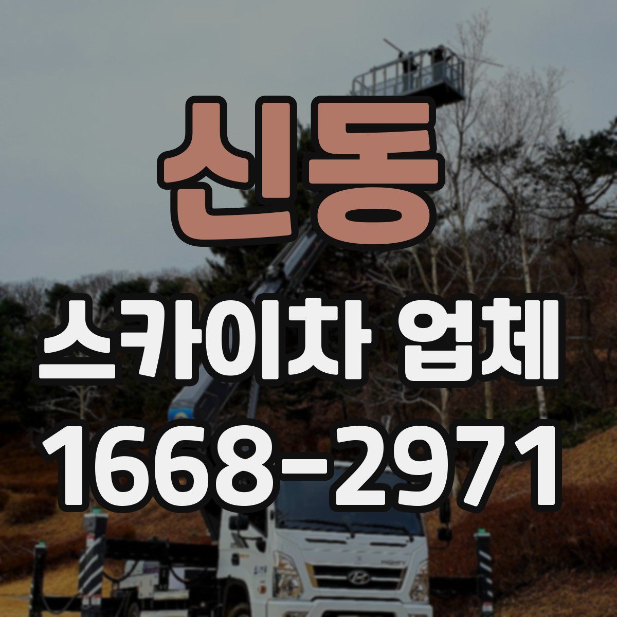 신동 스카이차 업체