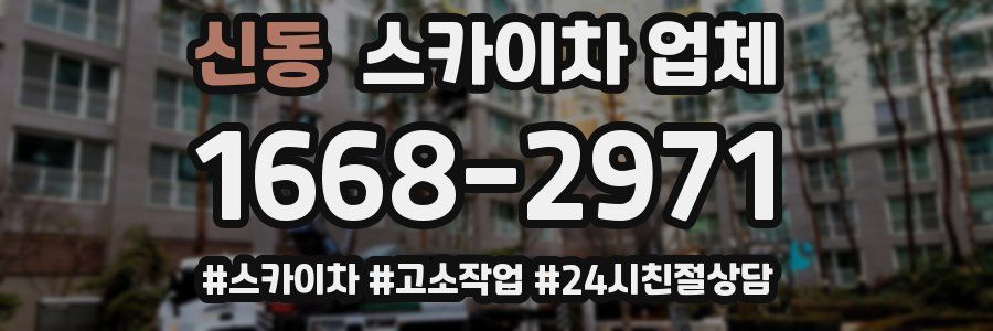 신동 스카이차 업체