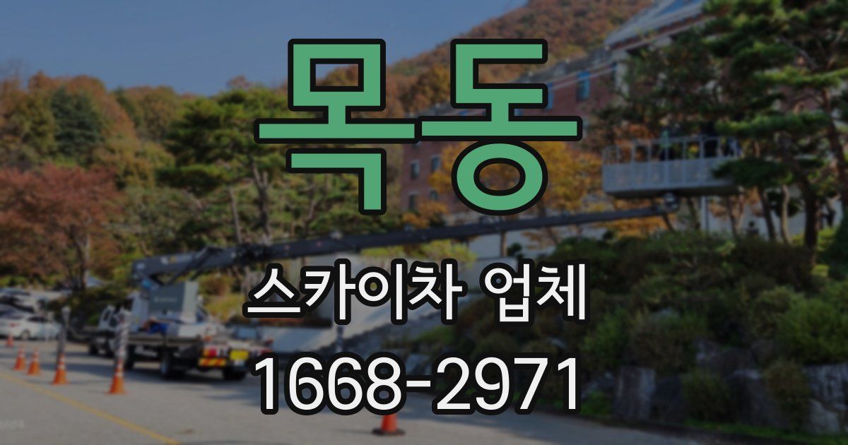 목동 스카이차 업체