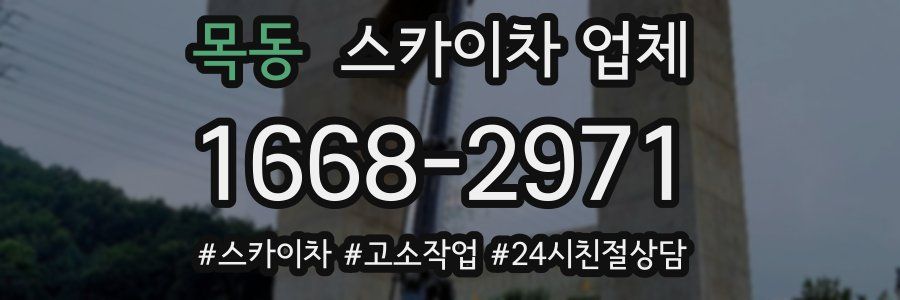 목동 스카이차 업체